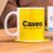 caveo.nl Icoon
