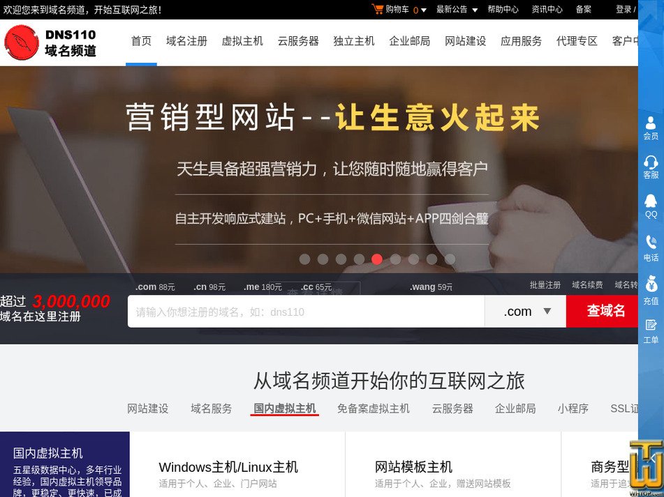 dns110.com 截图