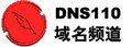 dns110.com 商标