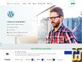 captura de tela de Advanced (WordPress) Plano