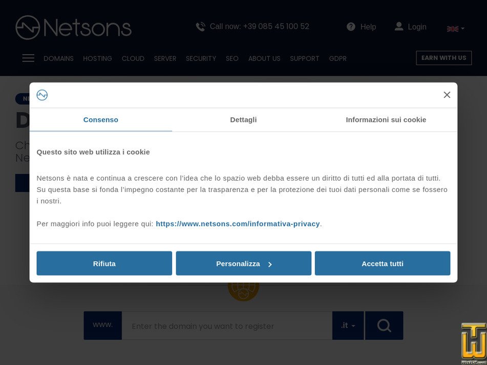 netsons.com immagine dello schermo