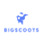bigscoots.com Icon