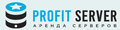 profitserver.ru логотип