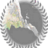 projecteritrea.com Icon