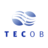 tecob.com Icon